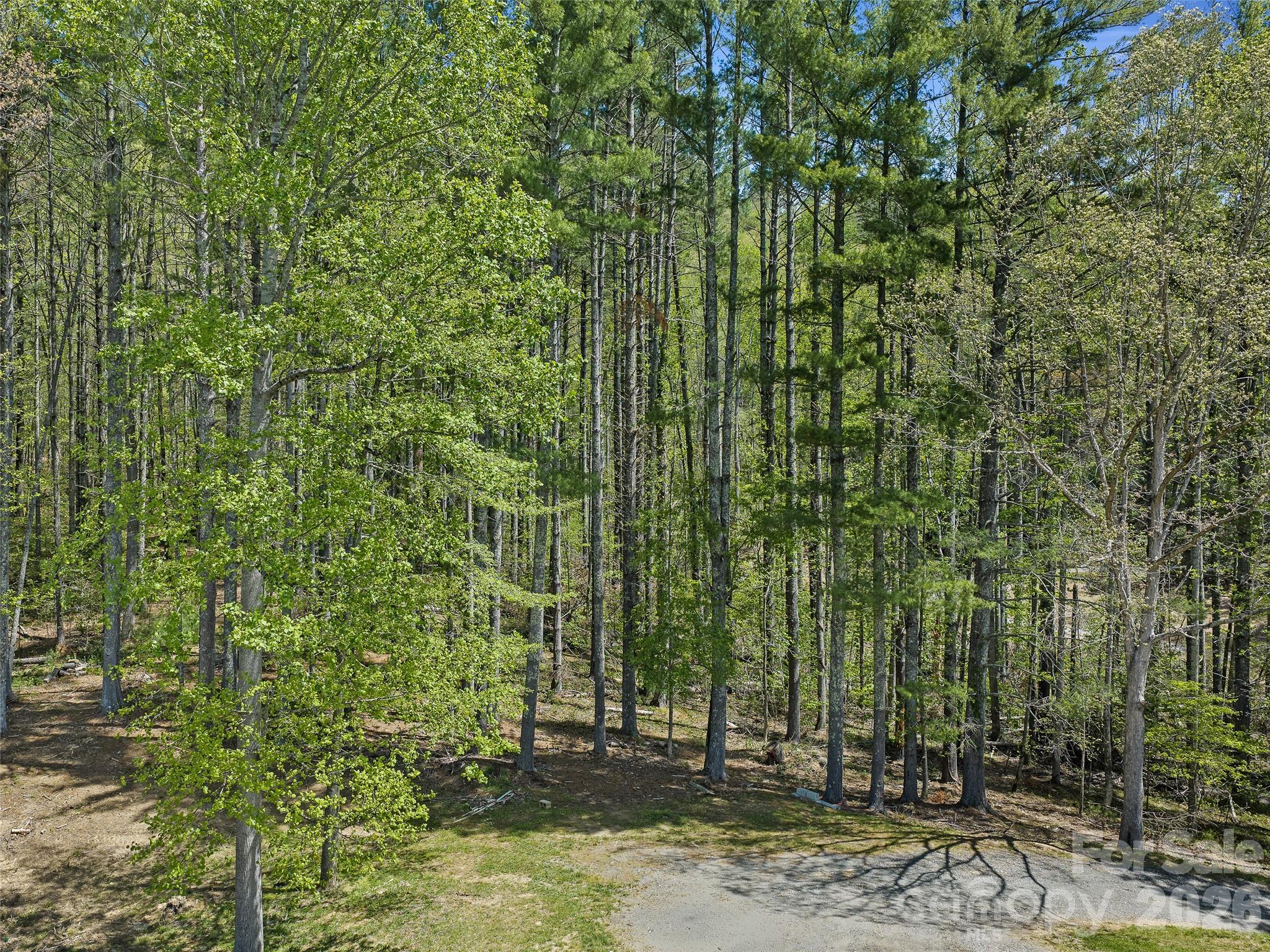 105 Satinwood Drive Burnsville NC 28714