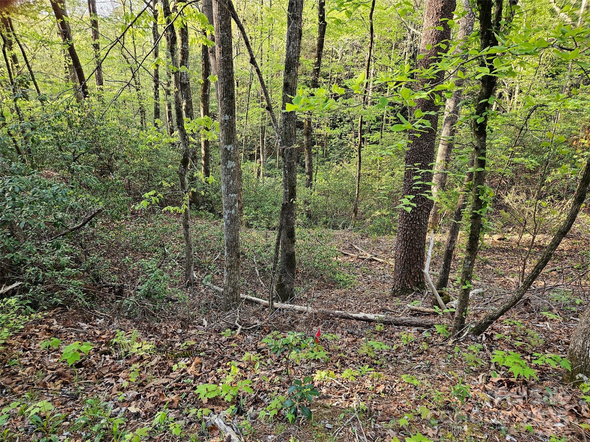 0 Huntington Road Lake Lure NC 28746