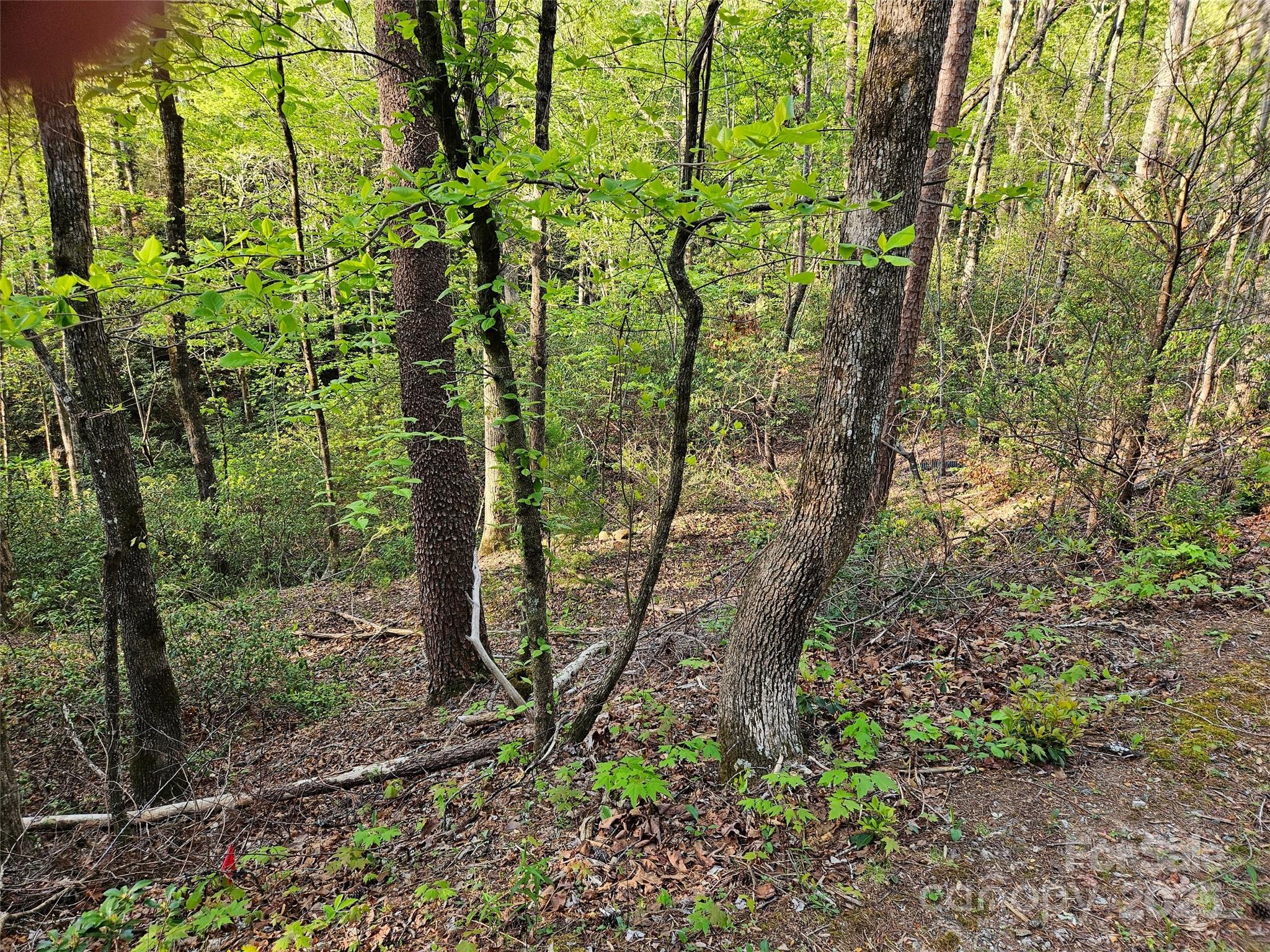 0 Huntington Road Lake Lure NC 28746