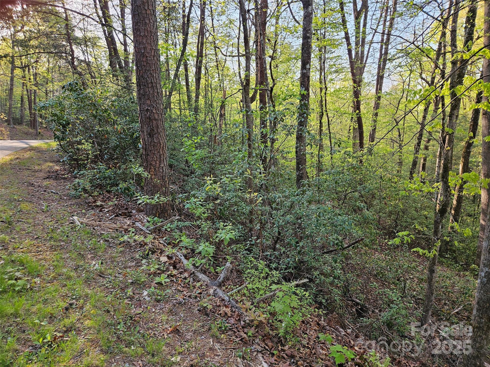 0 Huntington Road Lake Lure NC 28746