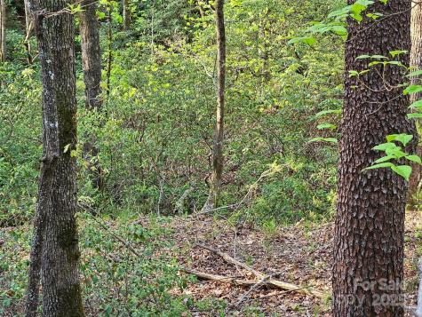 0 Huntington Road Lake Lure NC 28746