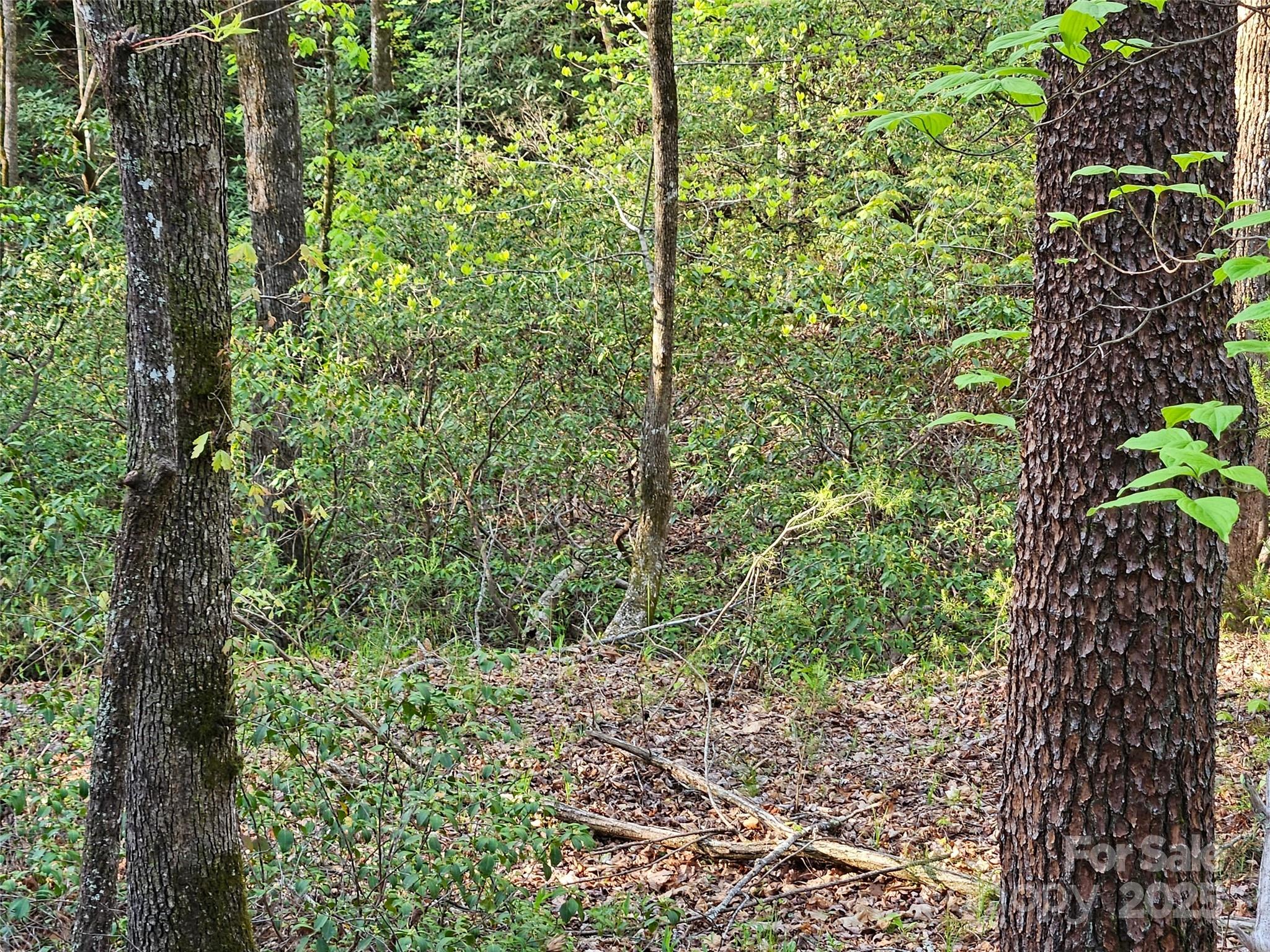 0 Huntington Road Lake Lure NC 28746
