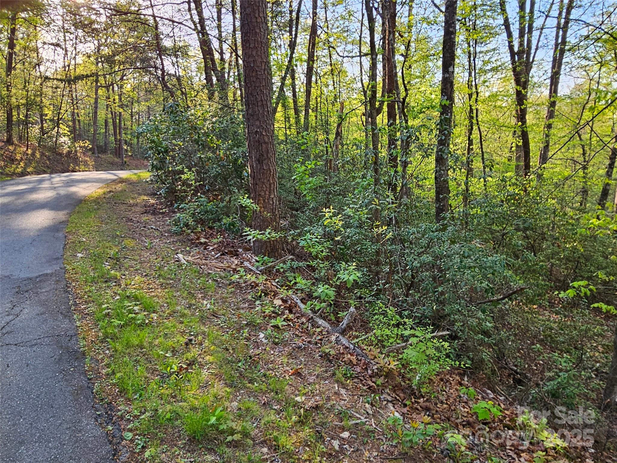 0 Huntington Road Lake Lure NC 28746