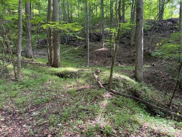 0 Cane Mountain Lane Burnsville NC 28714