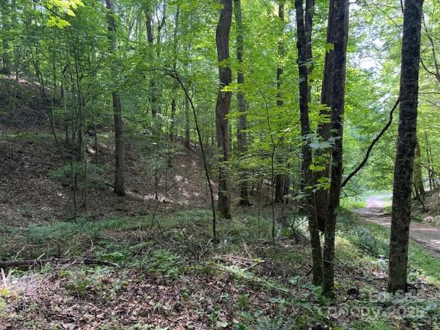 0 Cane Mountain Lane Burnsville NC 28714