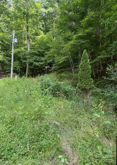 0 Cane Mountain Lane Burnsville NC 28714