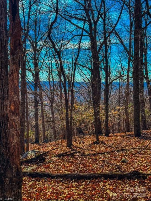 1644 Sierra Trace Road Denton NC 27239
