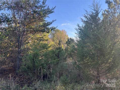0 Bradley Road Gaffney SC 29341