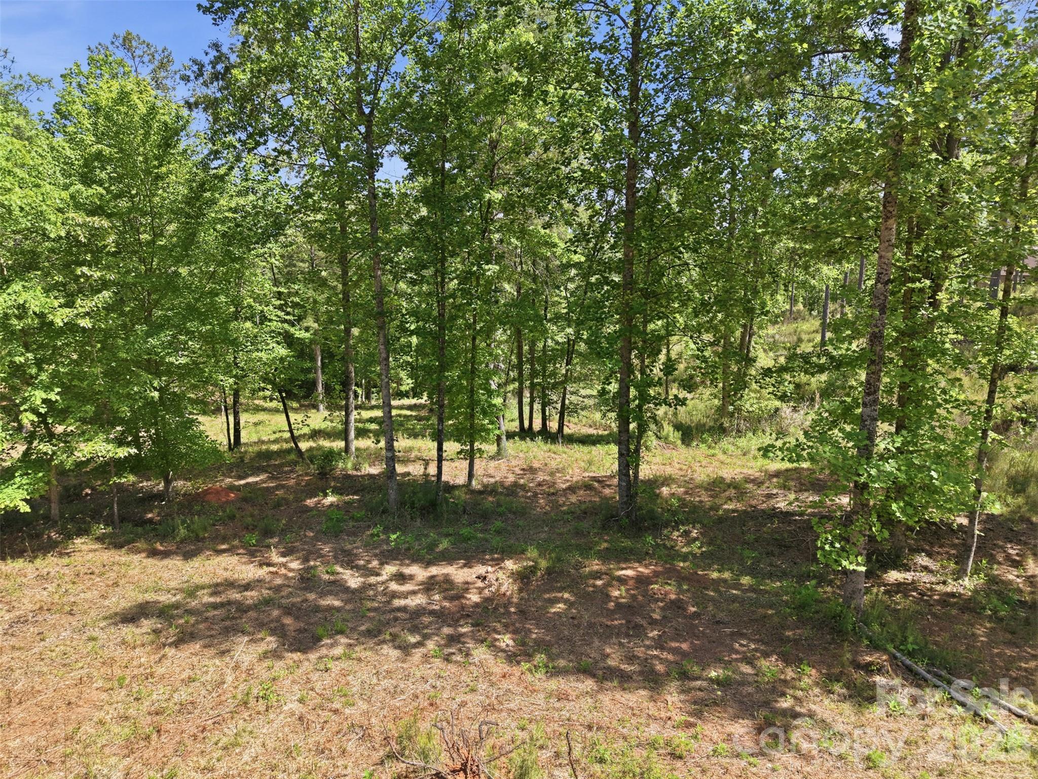 2158 Jumping Run Connelly Springs NC 28612
