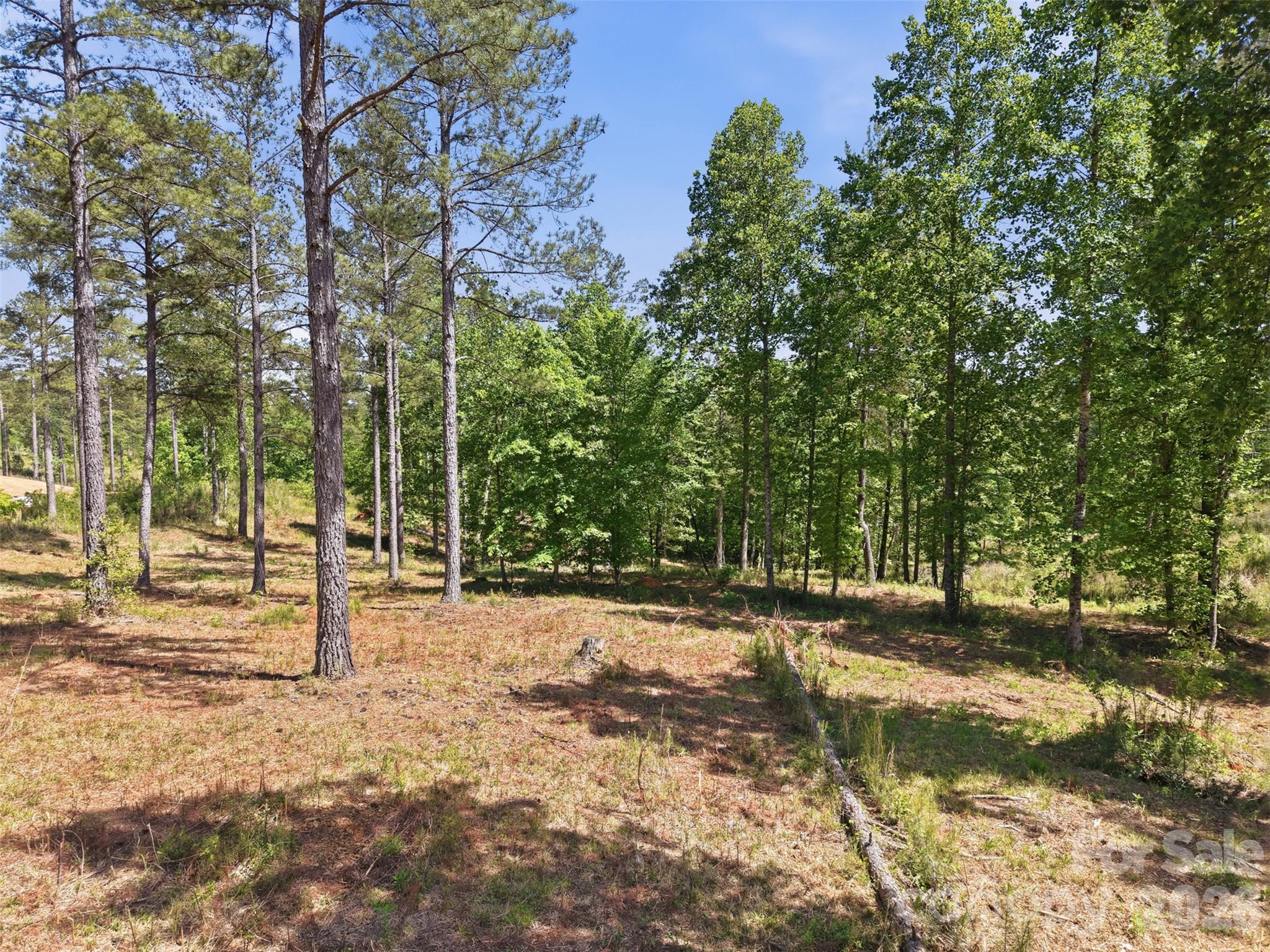 2158 Jumping Run Connelly Springs NC 28612