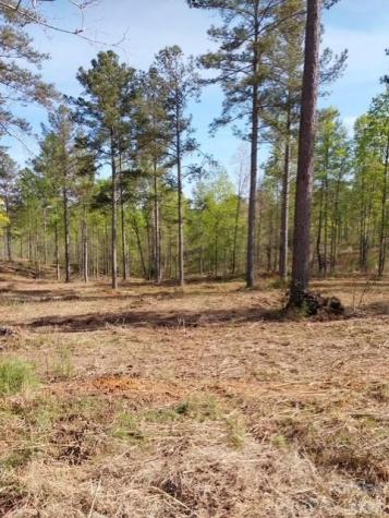 2158 Jumping Run Connelly Springs NC 28612