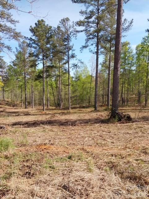 2158 Jumping Run Connelly Springs NC 28612