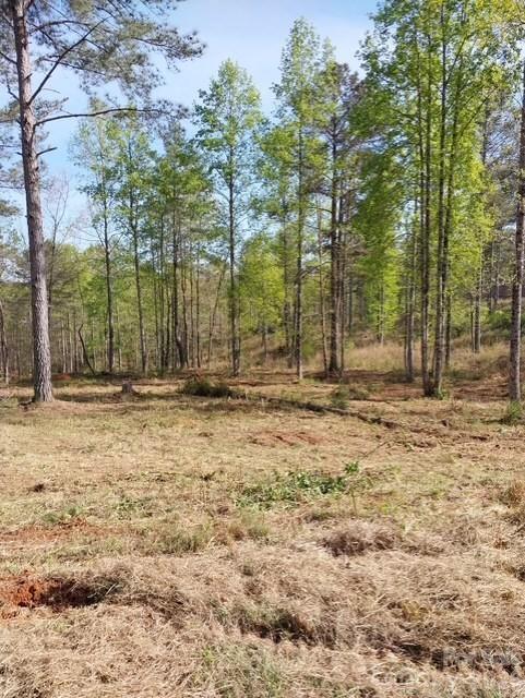 2158 Jumping Run Connelly Springs NC 28612