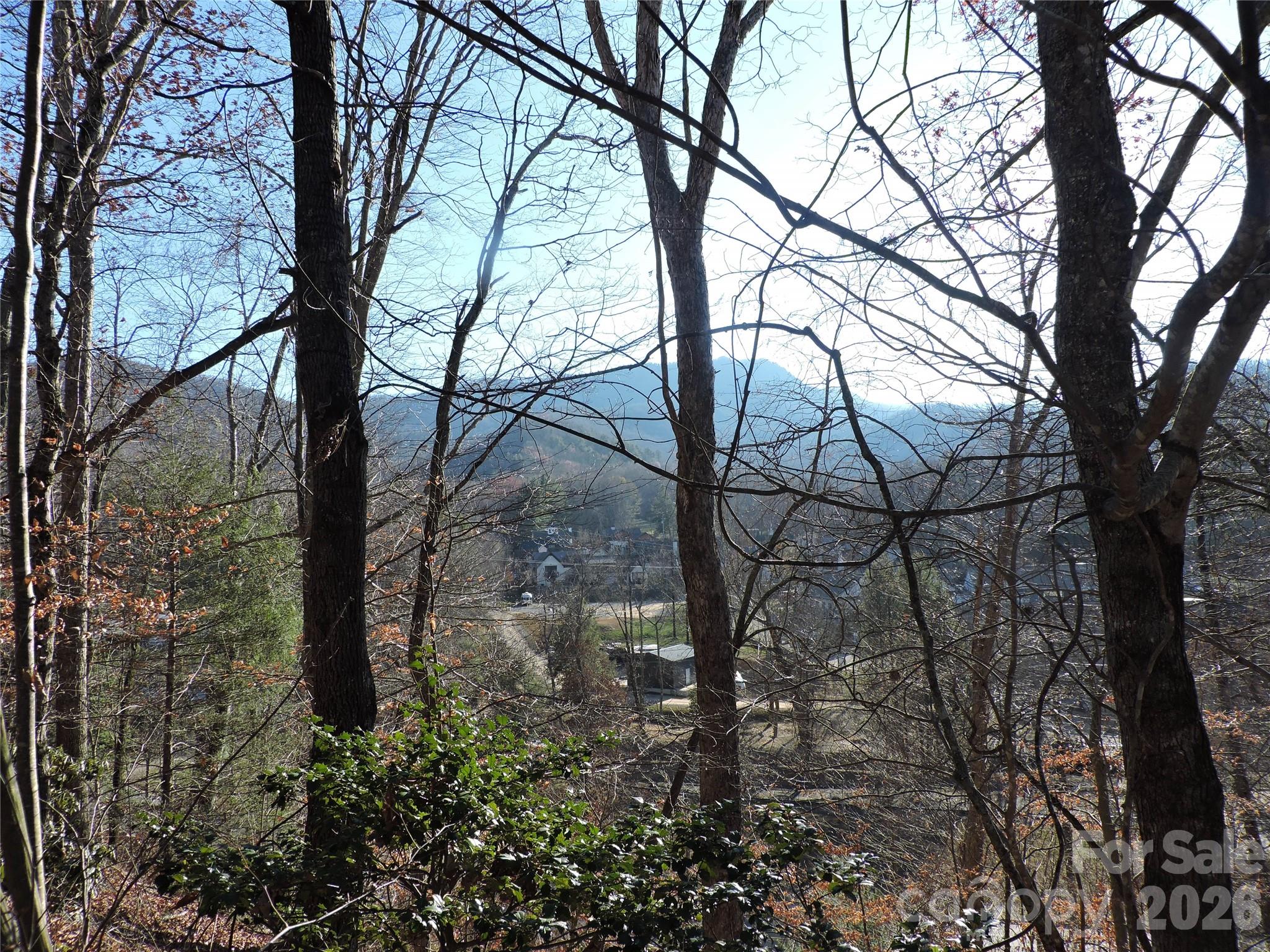 10 Whitman Lane Black Mountain NC 28711