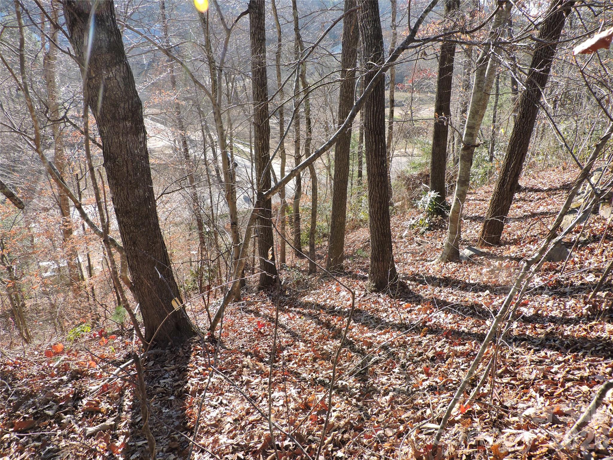 10 Whitman Lane Black Mountain NC 28711
