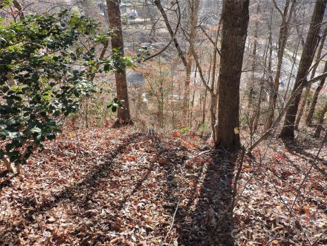 10 Whitman Lane Black Mountain NC 28711