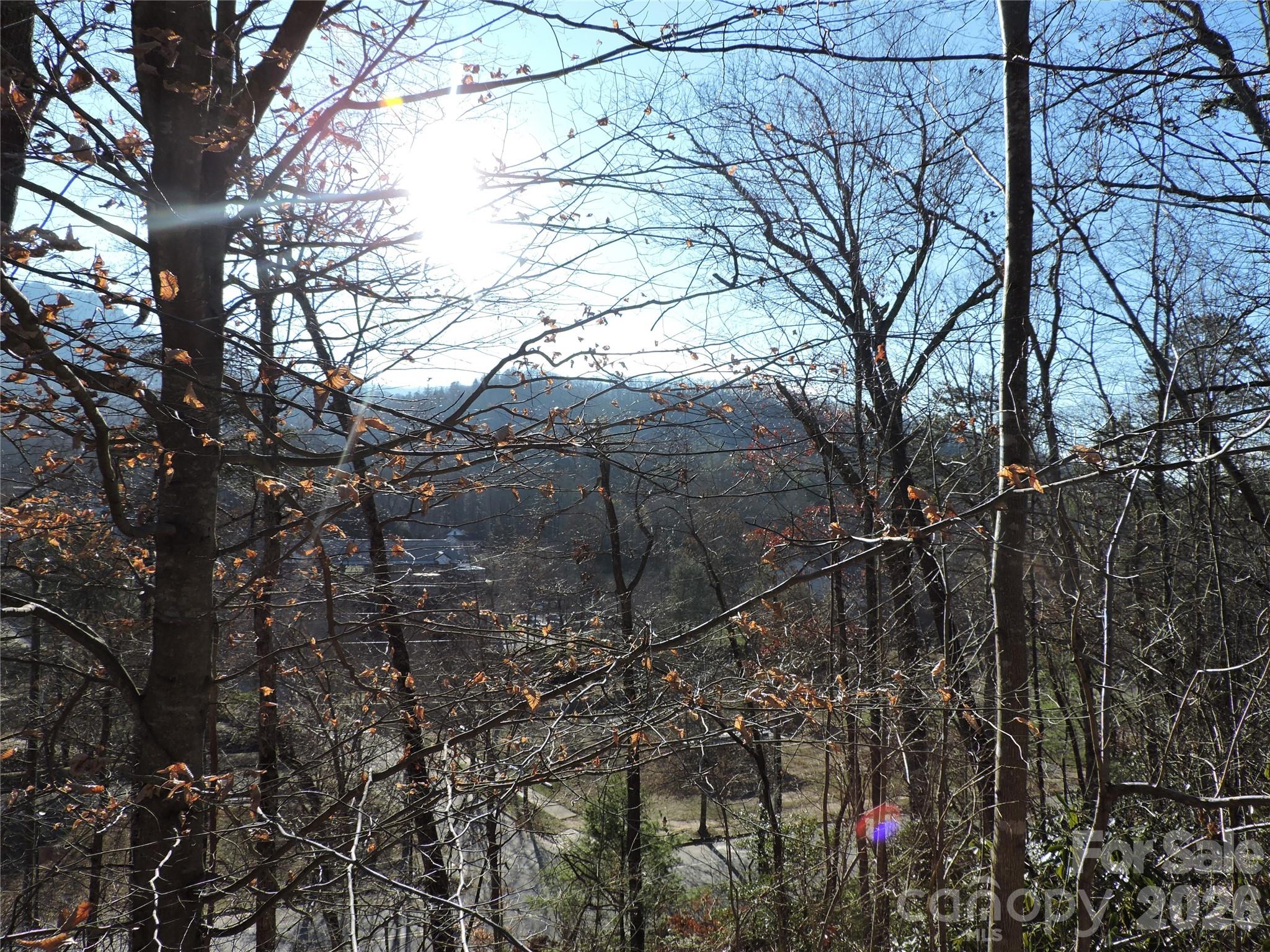 10 Whitman Lane Black Mountain NC 28711