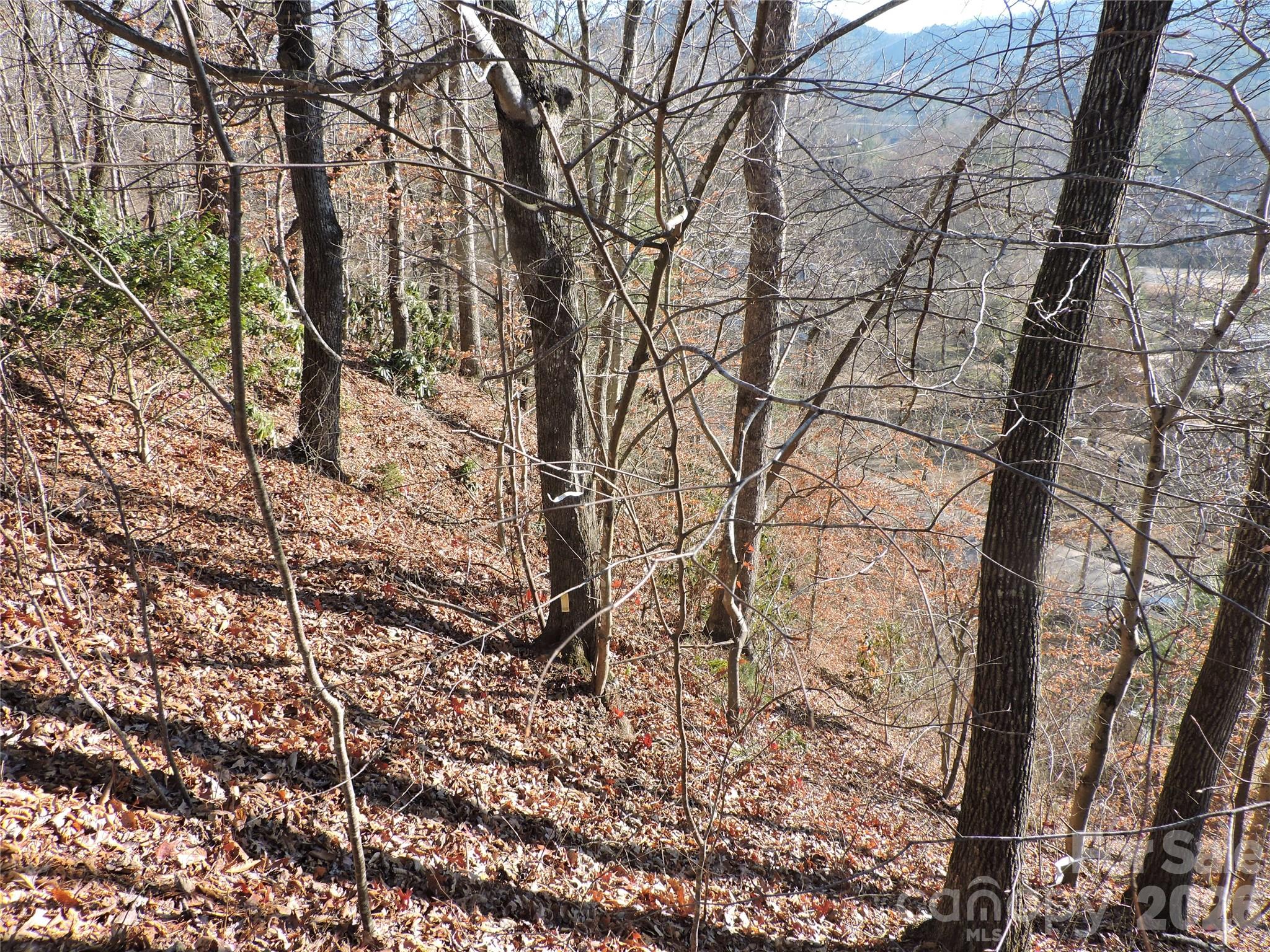 10 Whitman Lane Black Mountain NC 28711