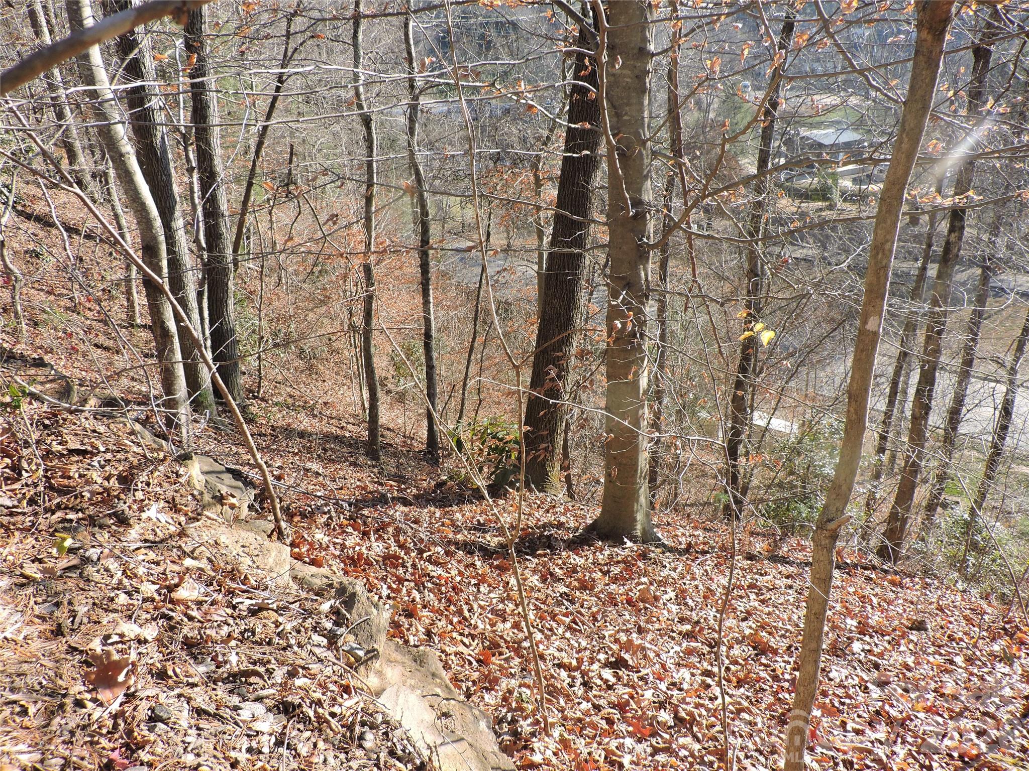 10 Whitman Lane Black Mountain NC 28711