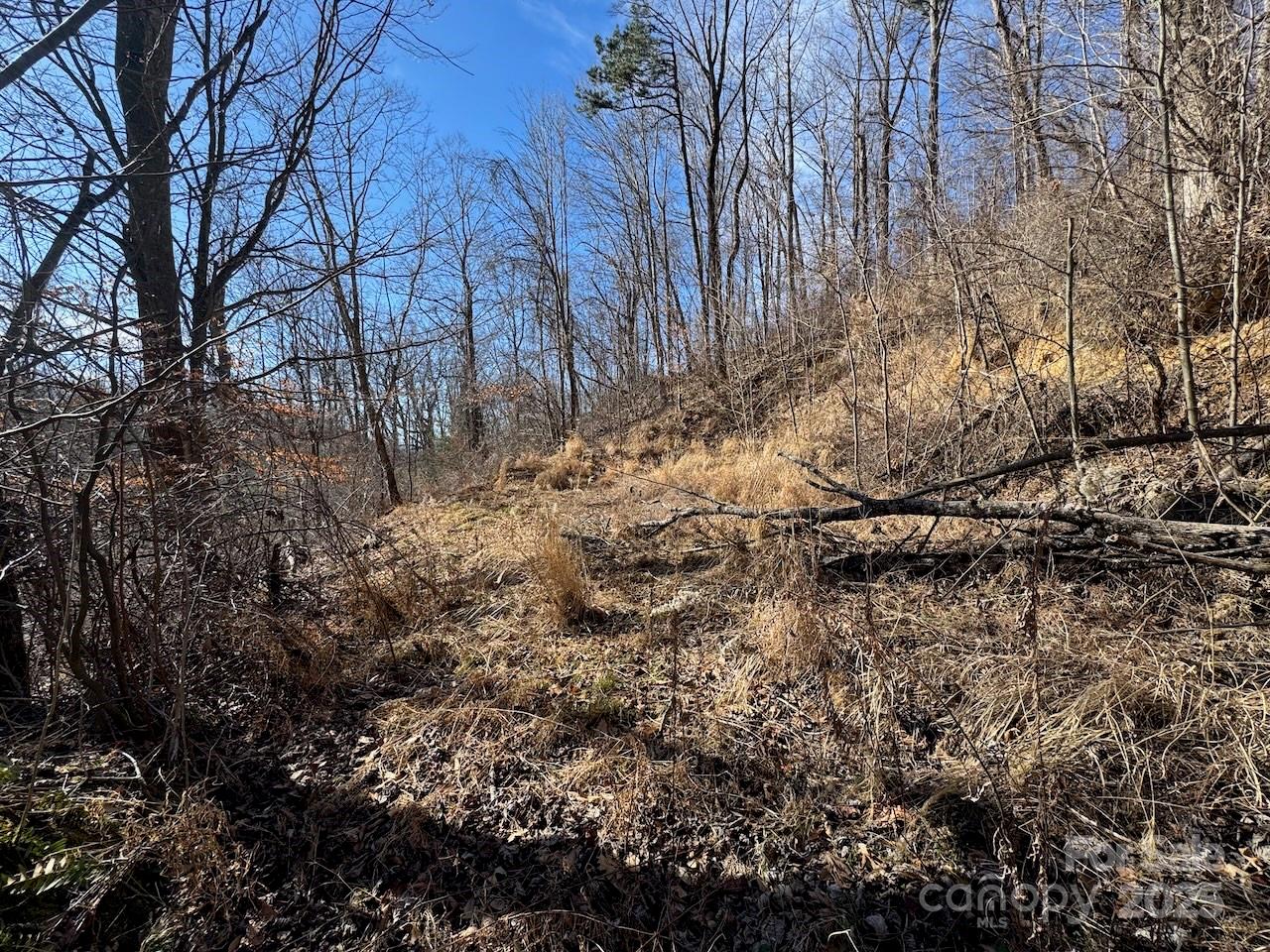 Tbd Glen Valley Way Weaverville NC 28787