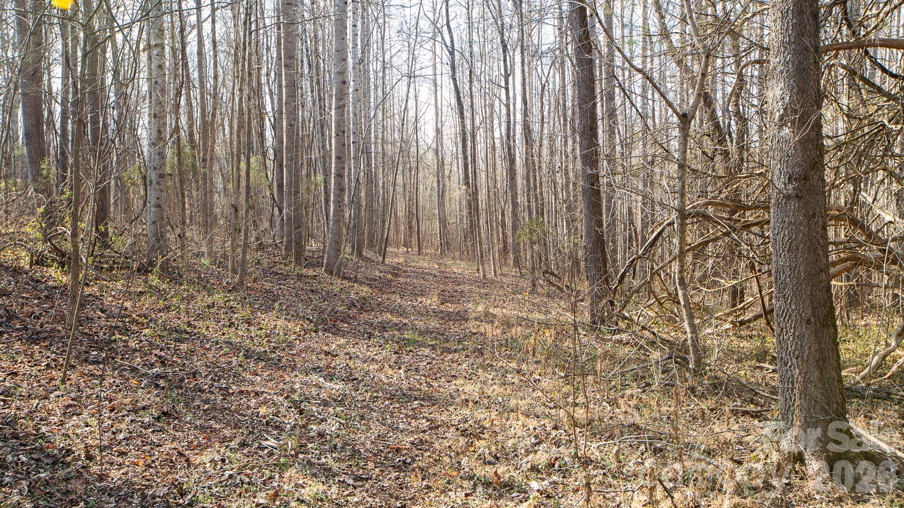 Tbd Upright Road Mt Ulla NC 28125