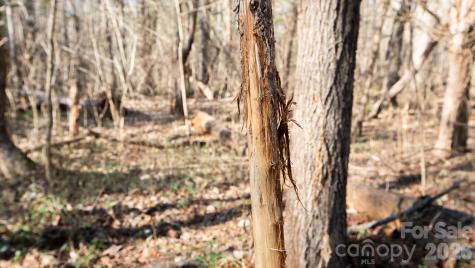 Tbd Upright Road Mt Ulla NC 28125