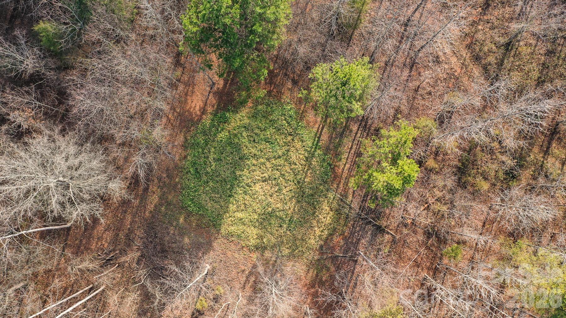 Tbd Upright Road Mt Ulla NC 28125