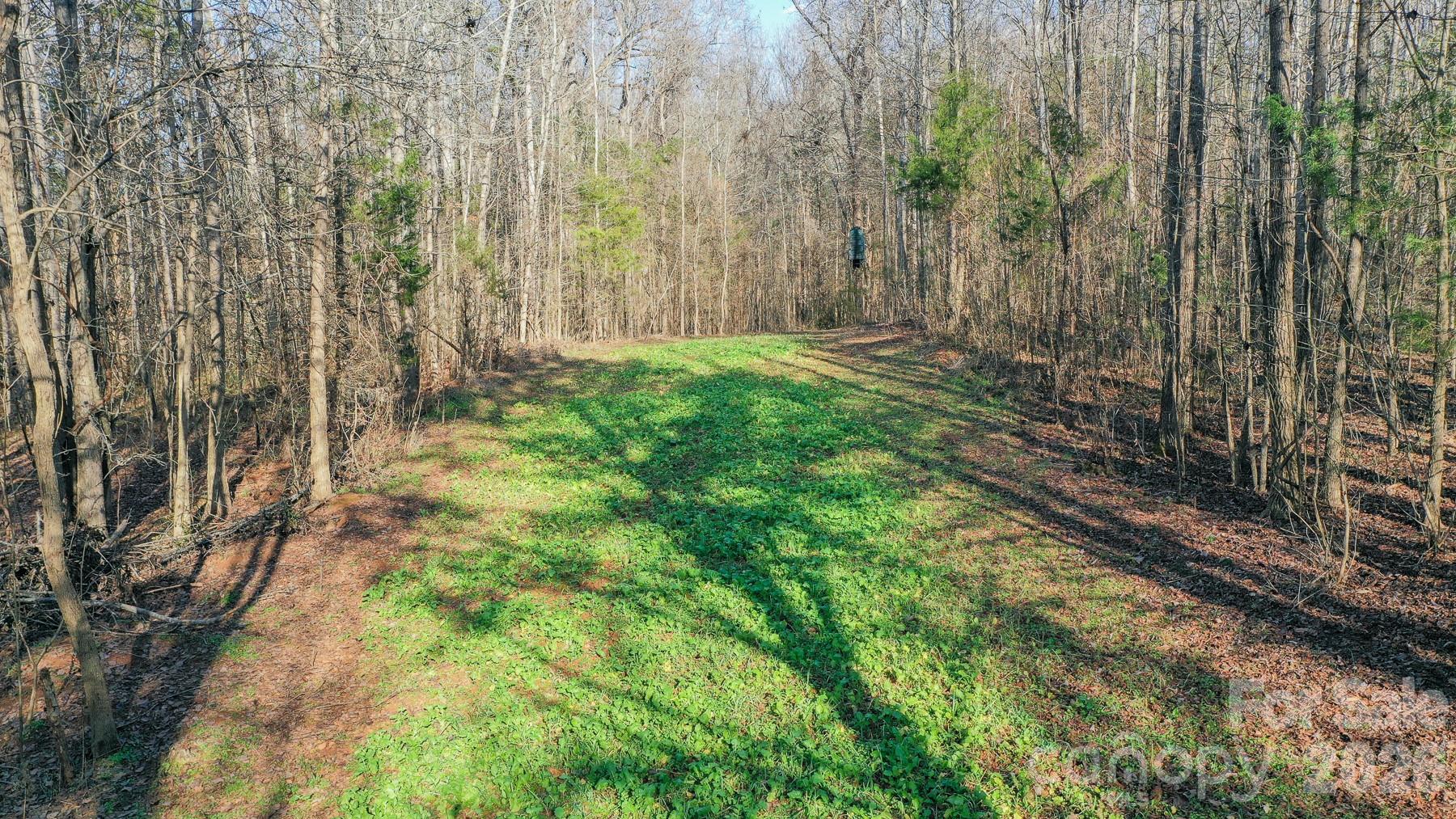 Tbd Upright Road Mt Ulla NC 28125