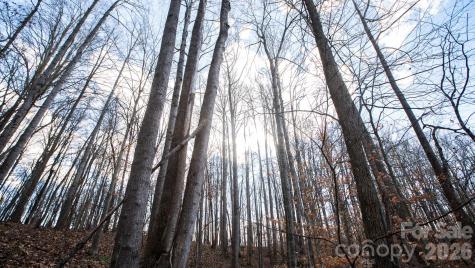 Tbd Upright Road Mt Ulla NC 28125