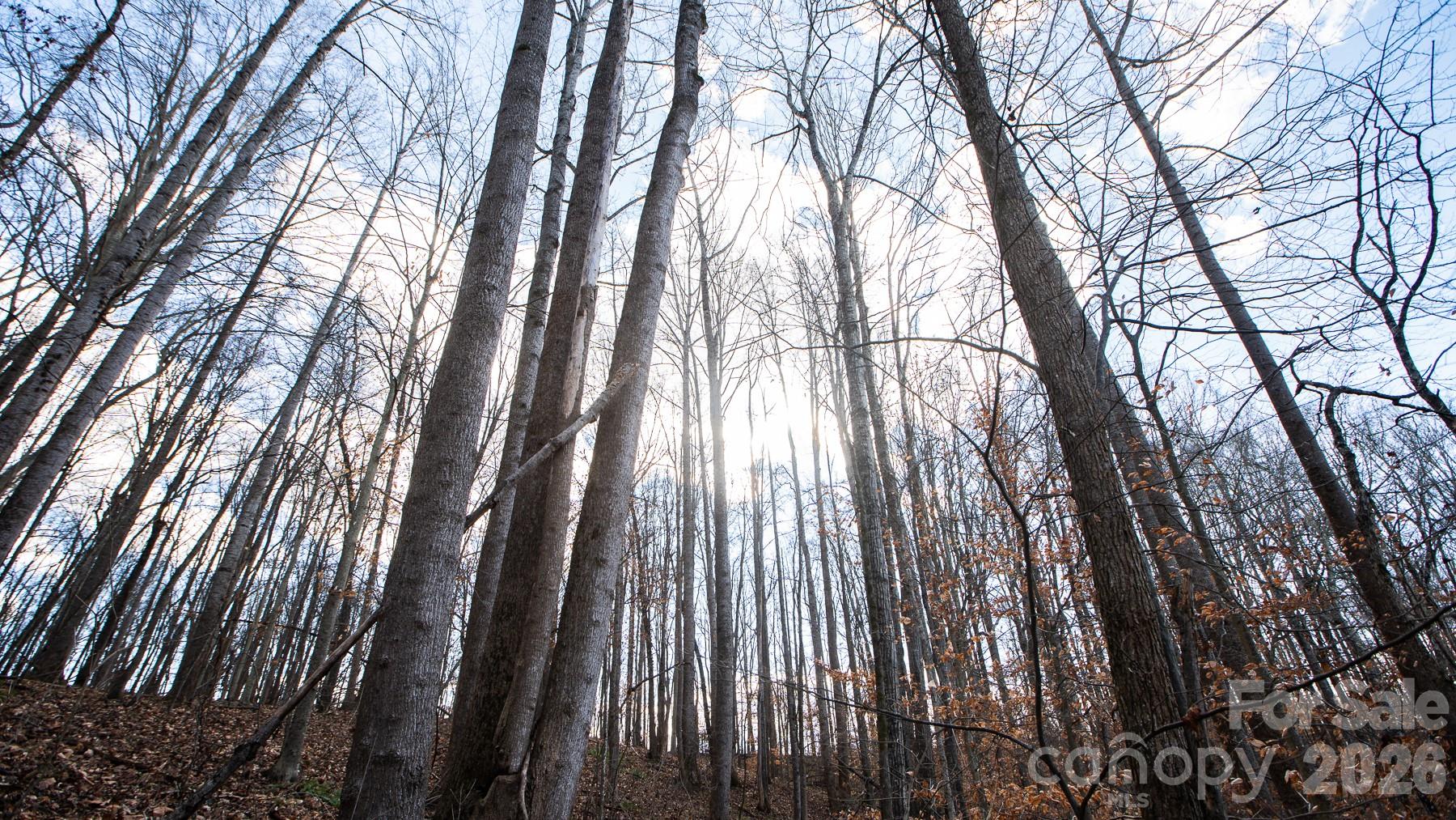 Tbd Upright Road Mt Ulla NC 28125