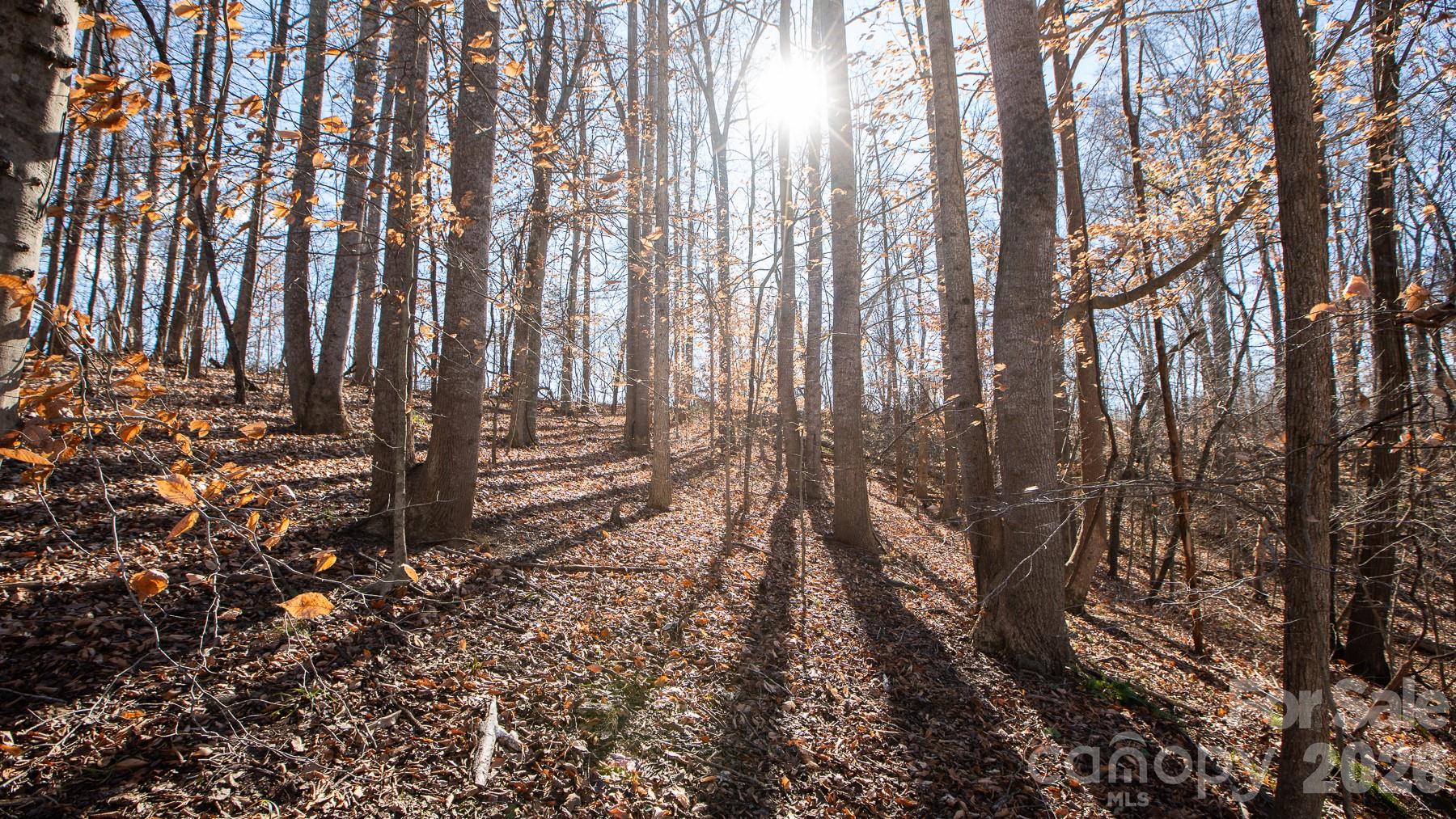 Tbd Upright Road Mt Ulla NC 28125