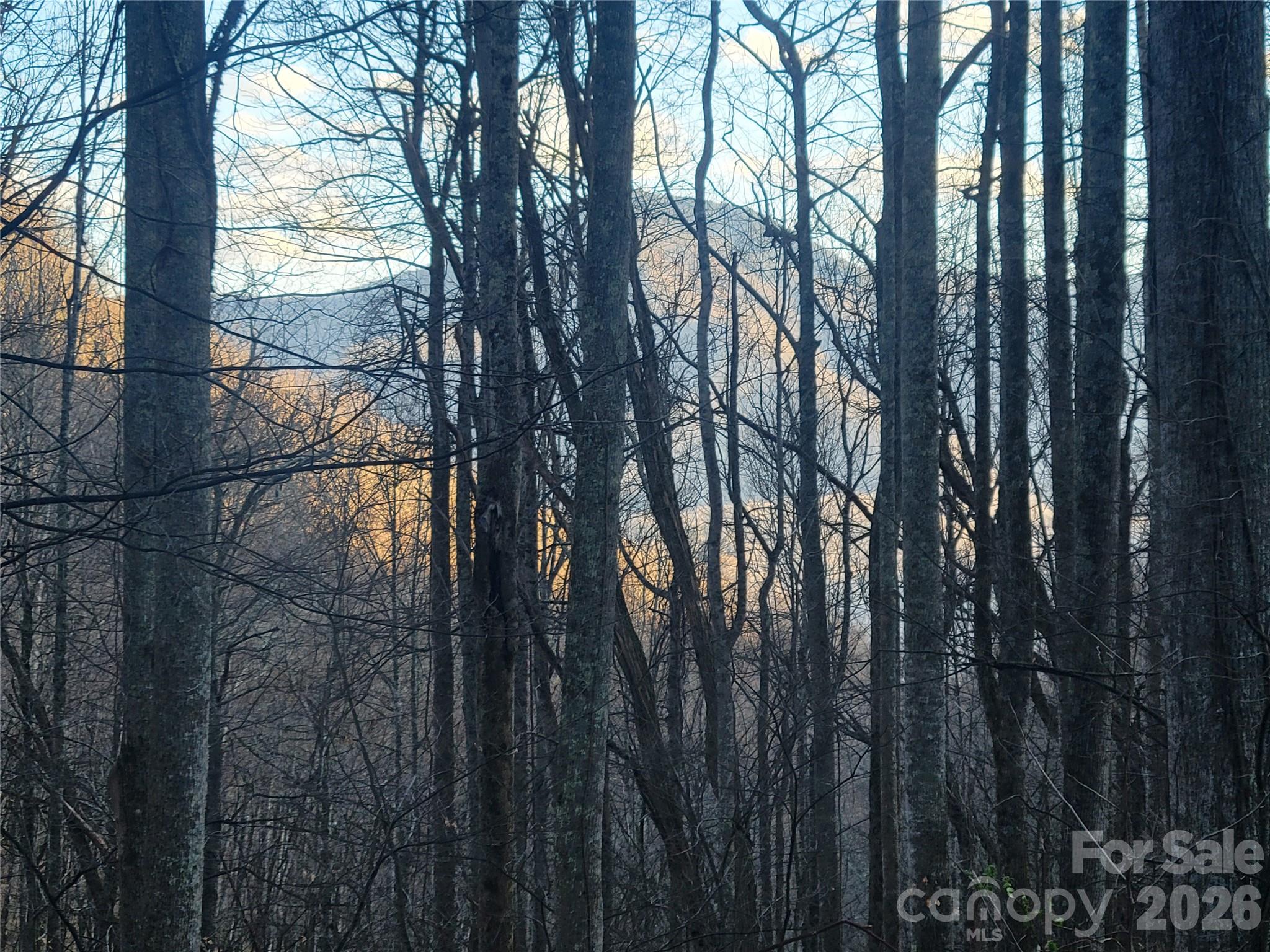 00 Covecrest Lane Maggie Valley NC 28751