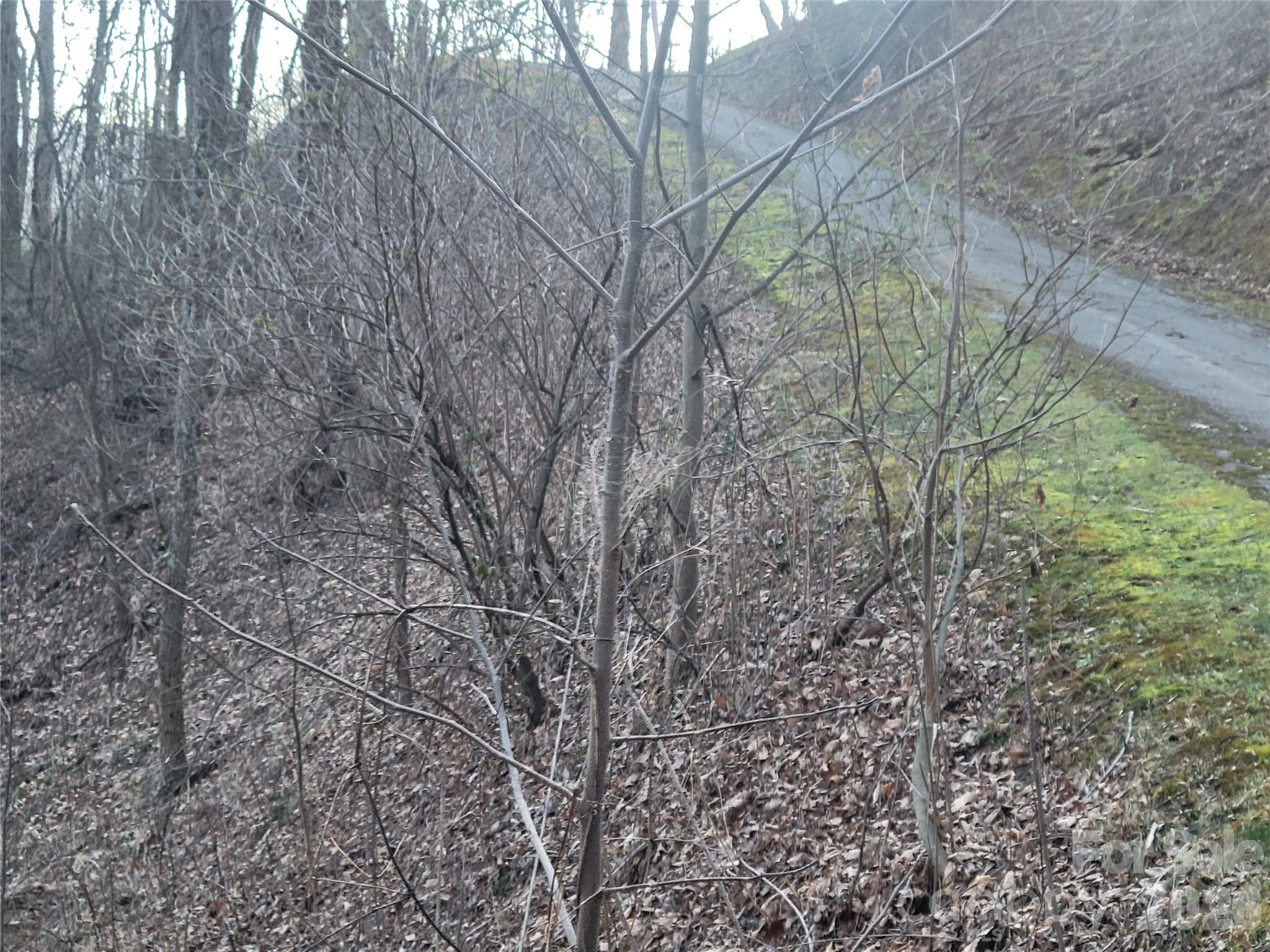 00 Covecrest Lane Maggie Valley NC 28751