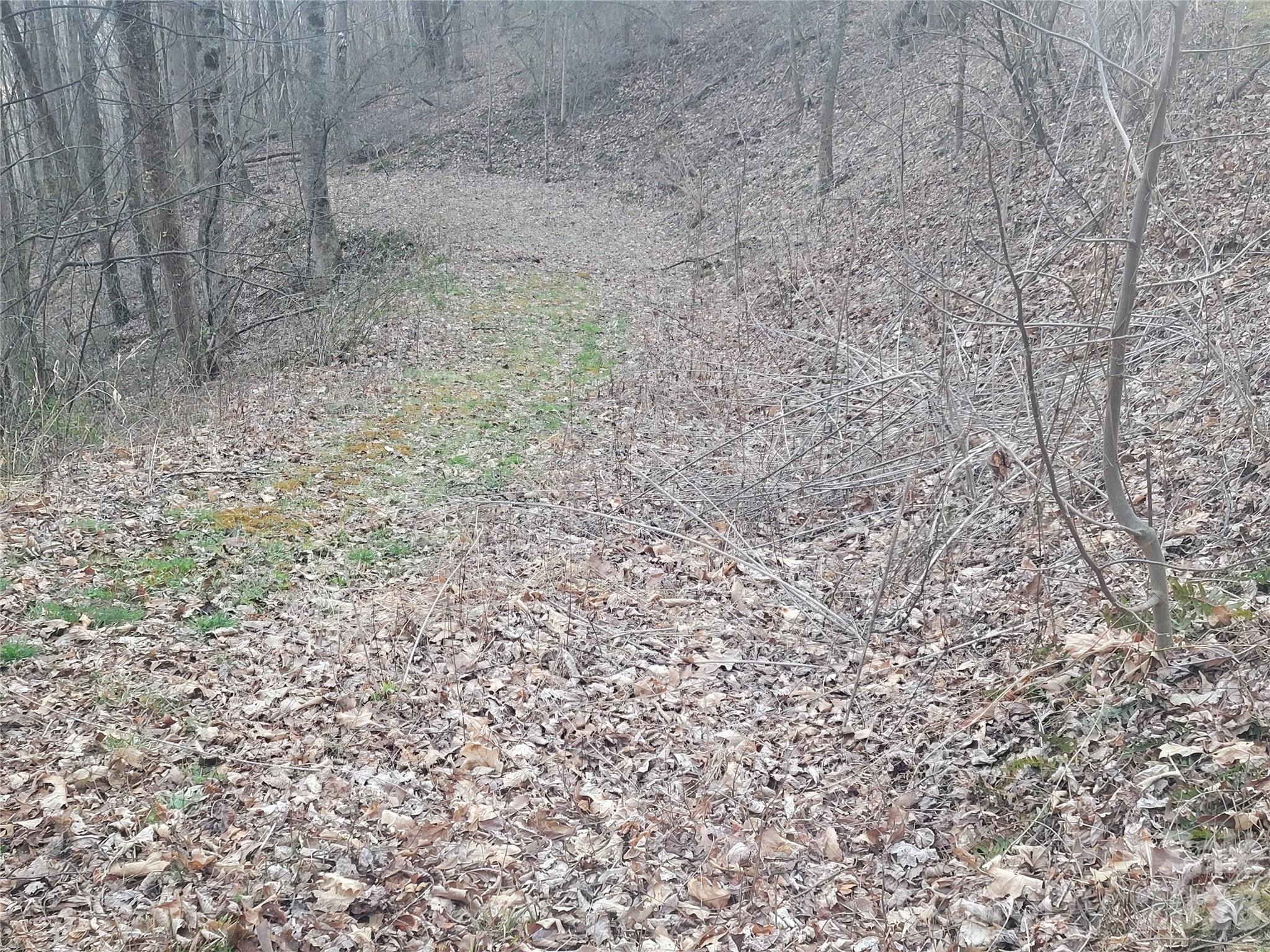 00 Covecrest Lane Maggie Valley NC 28751