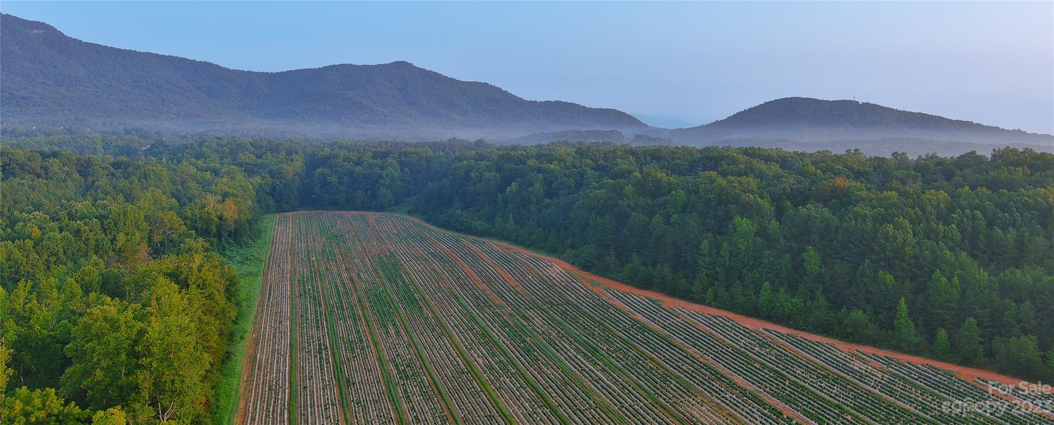 0 Fox Mountain Road Columbus NC 28722