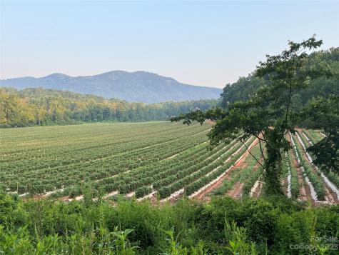 0 Fox Mountain Road Columbus NC 28722