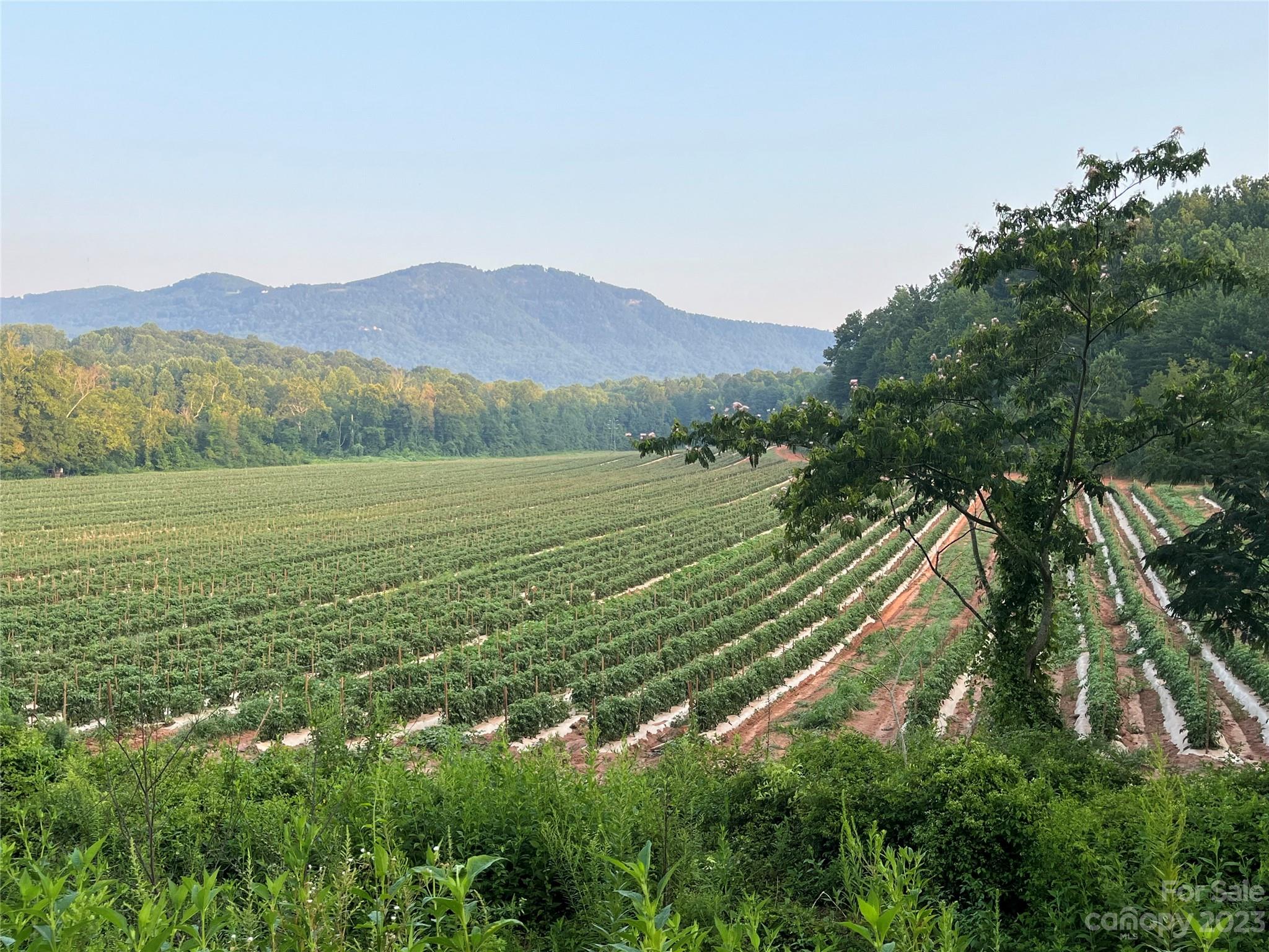 0 Fox Mountain Road Columbus NC 28722