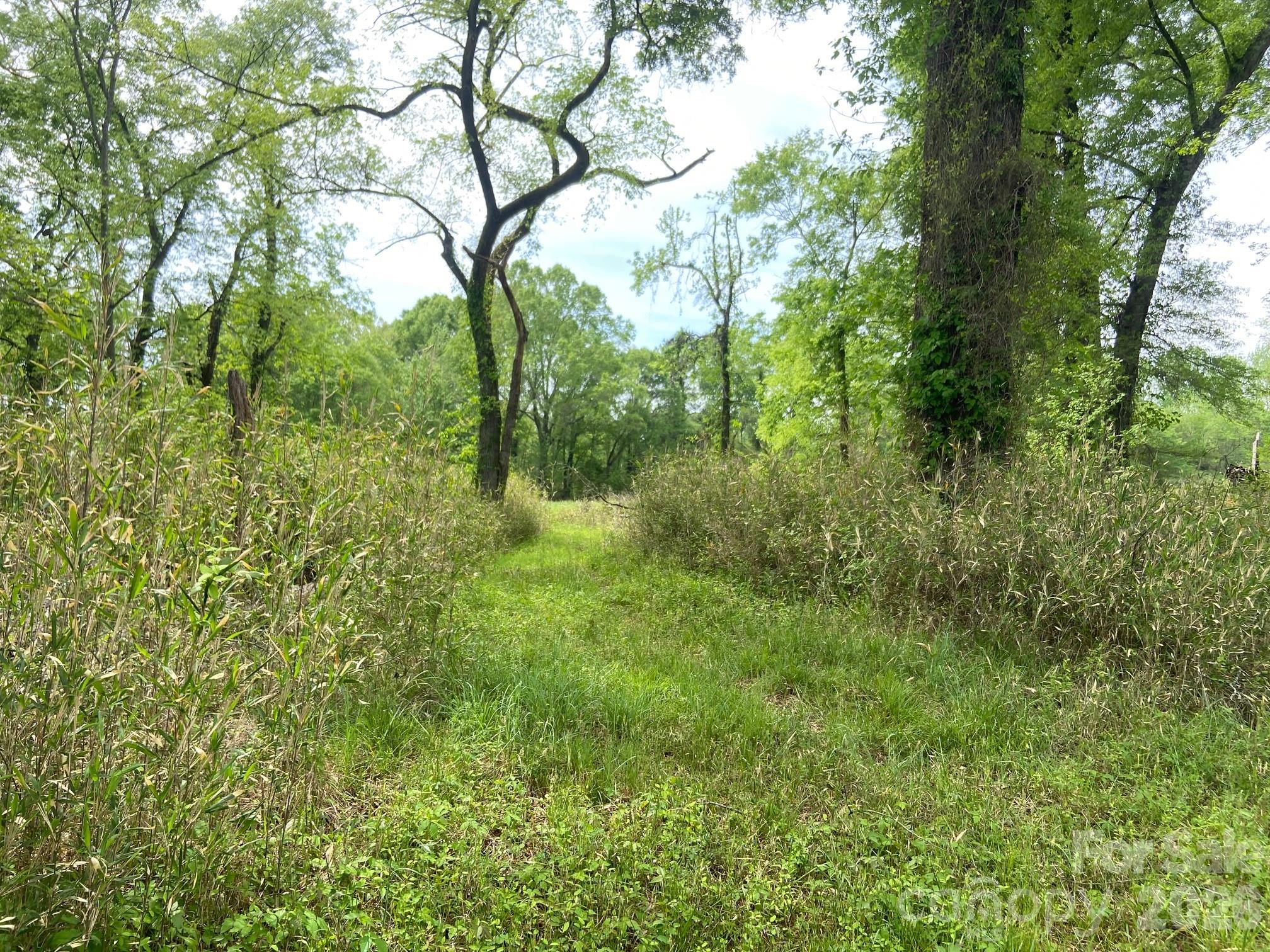 82.5 Acres Riverlane Road Rock Hill SC 29730