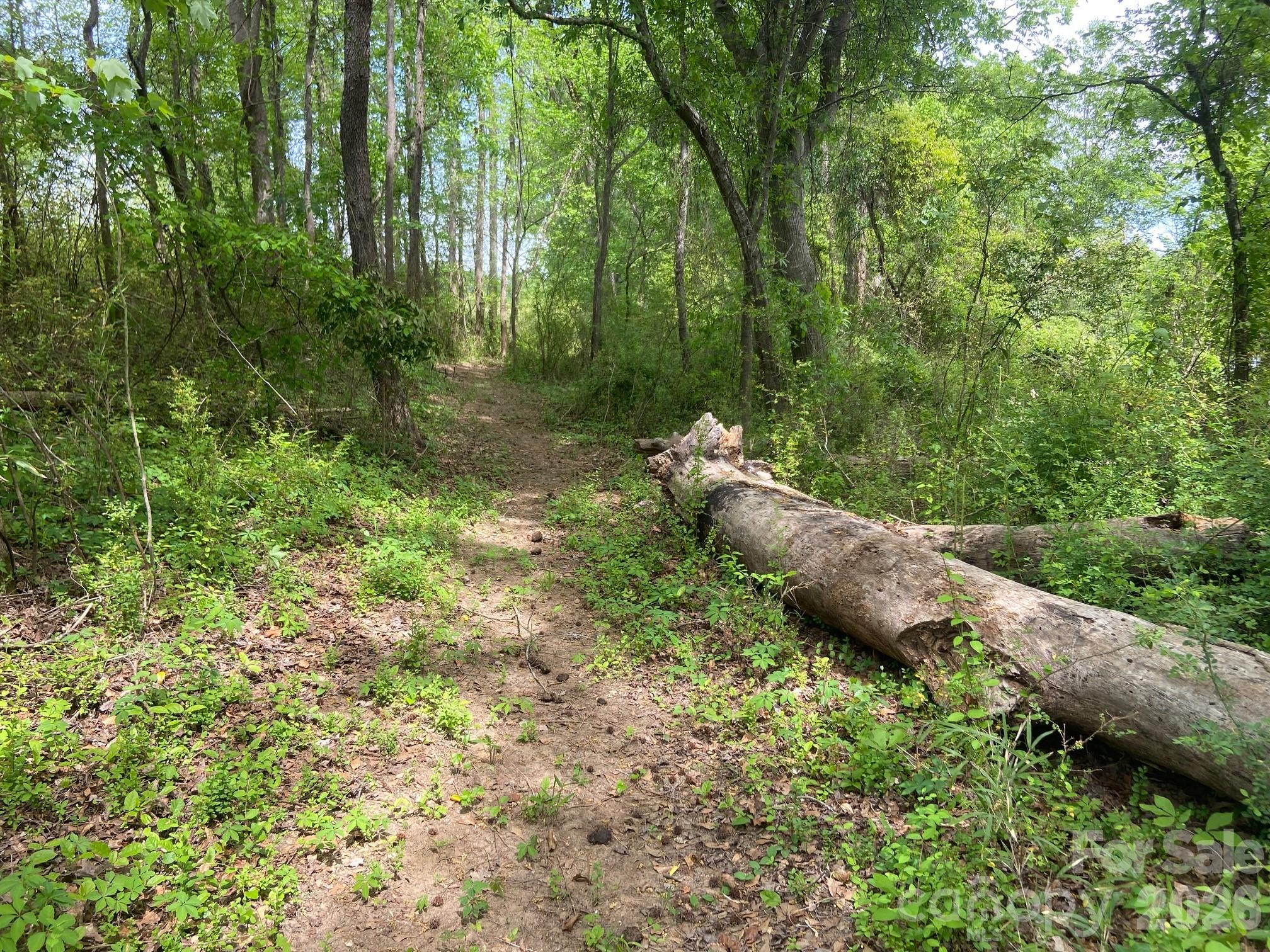 82.5 Acres Riverlane Road Rock Hill SC 29730