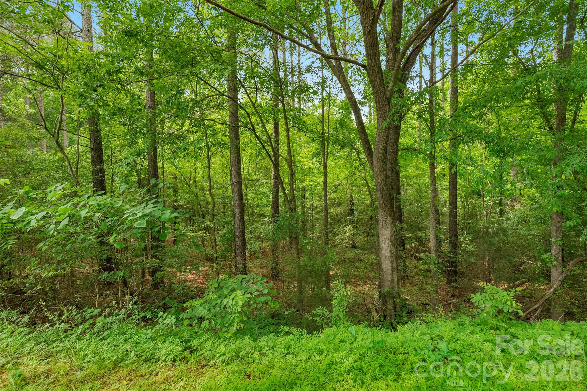 0000 Lucy Short Cut Road Marshville NC 28103