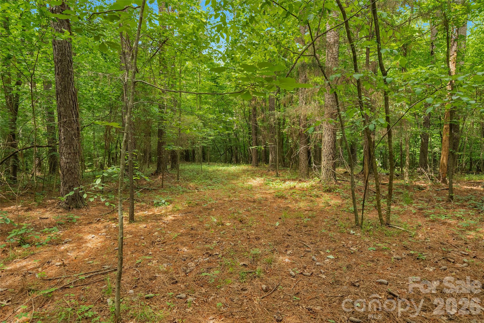 0000 Lucy Short Cut Road Marshville NC 28103