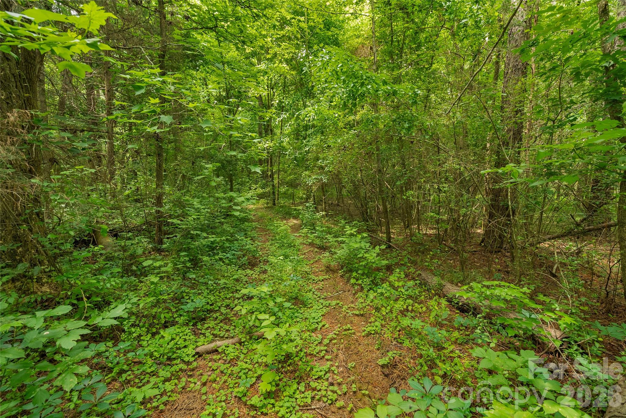 0000 Lucy Short Cut Road Marshville NC 28103