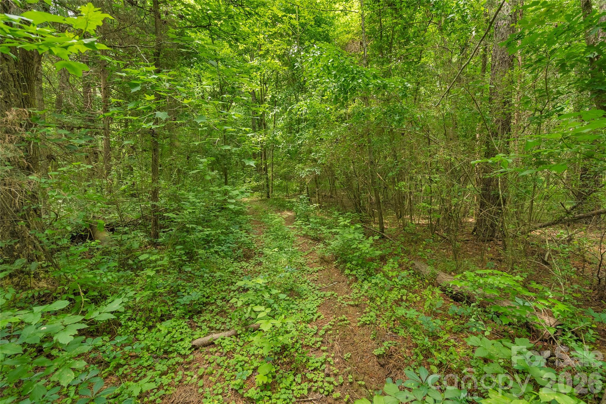 0000 Lucy Short Cut Road Marshville NC 28103