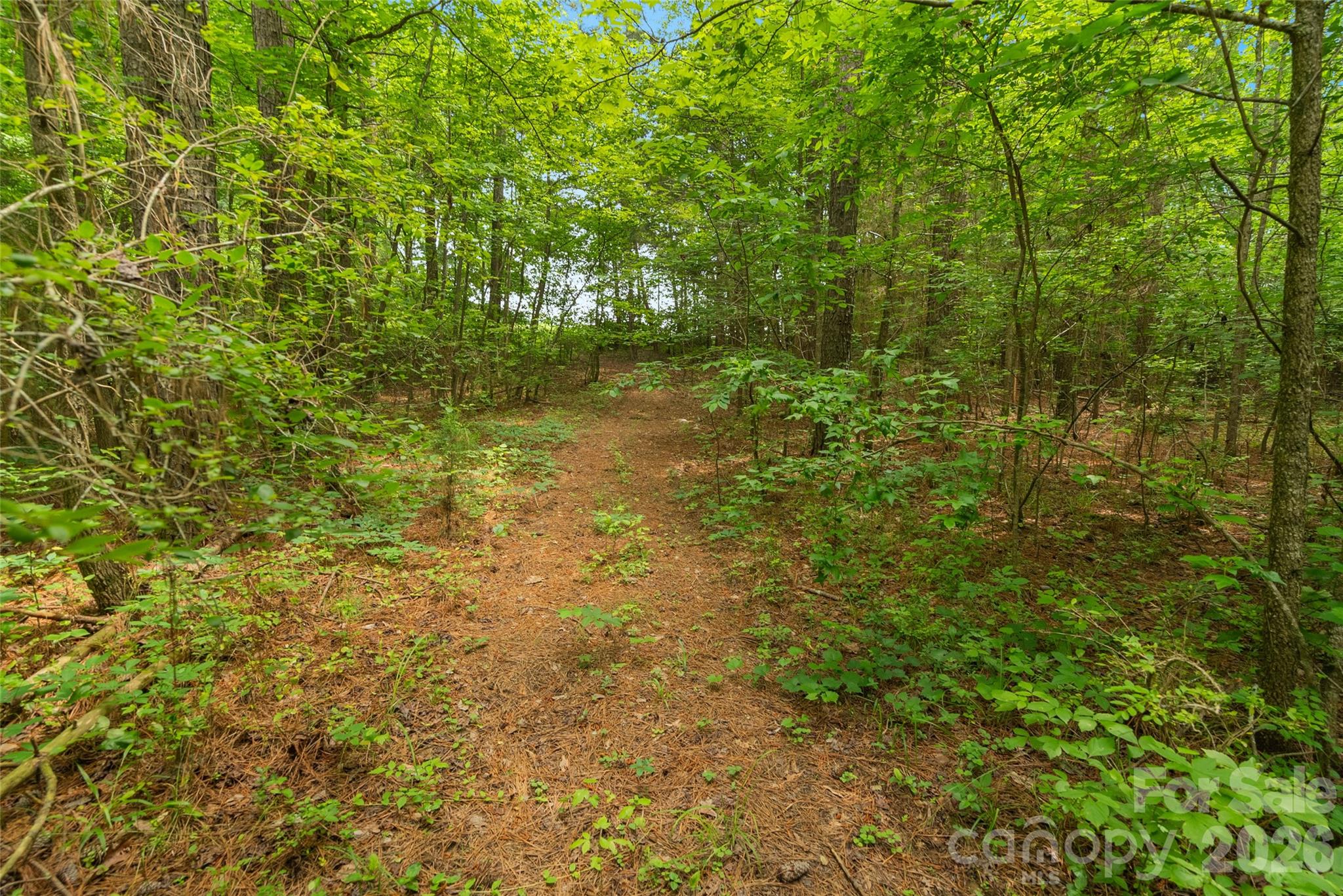 0000 Lucy Short Cut Road Marshville NC 28103