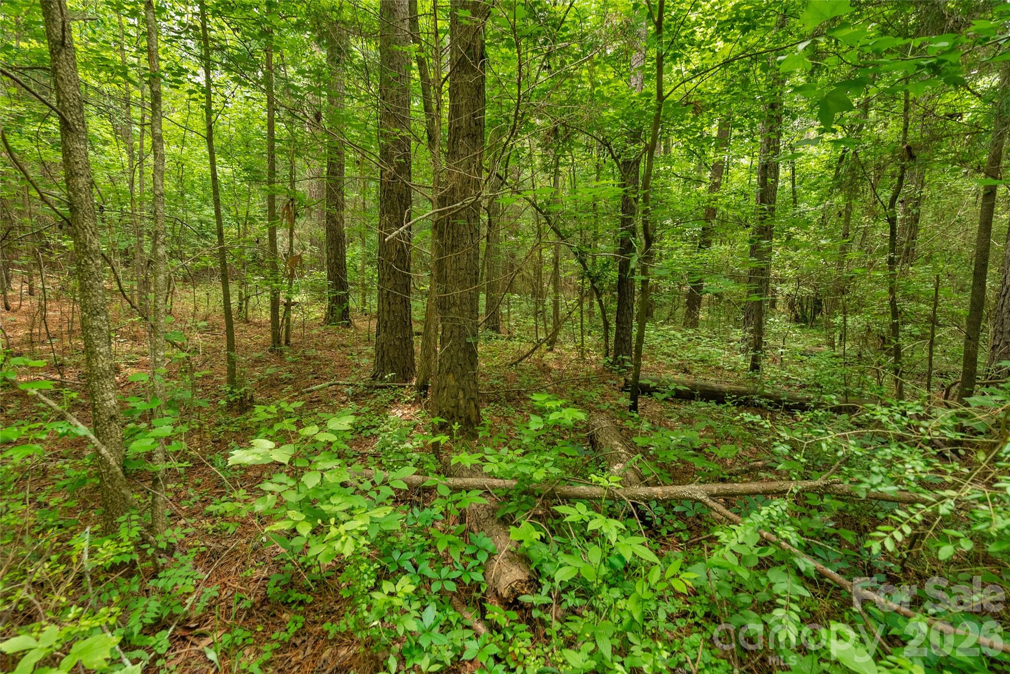 0000 Lucy Short Cut Road Marshville NC 28103