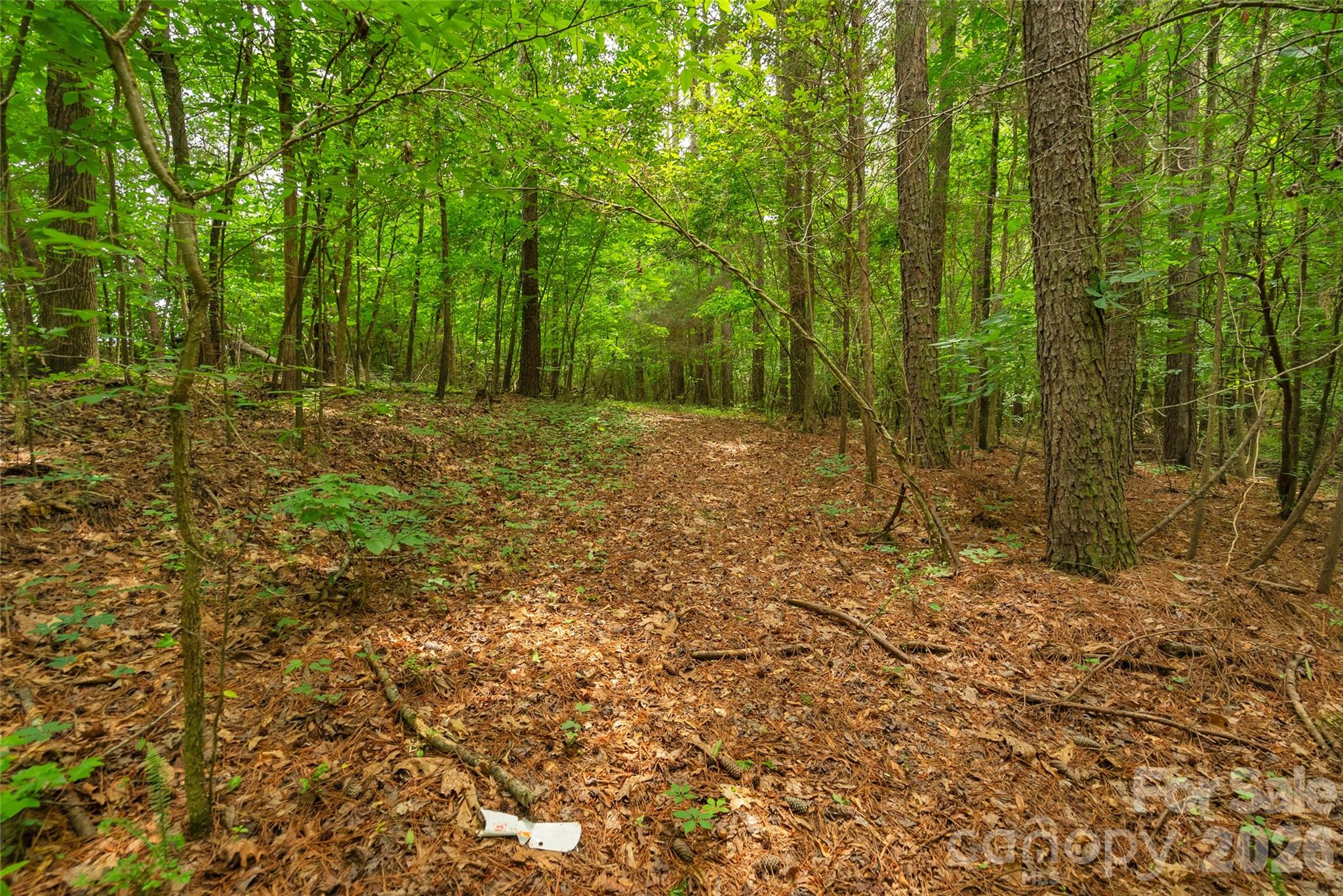 0000 Lucy Short Cut Road Marshville NC 28103