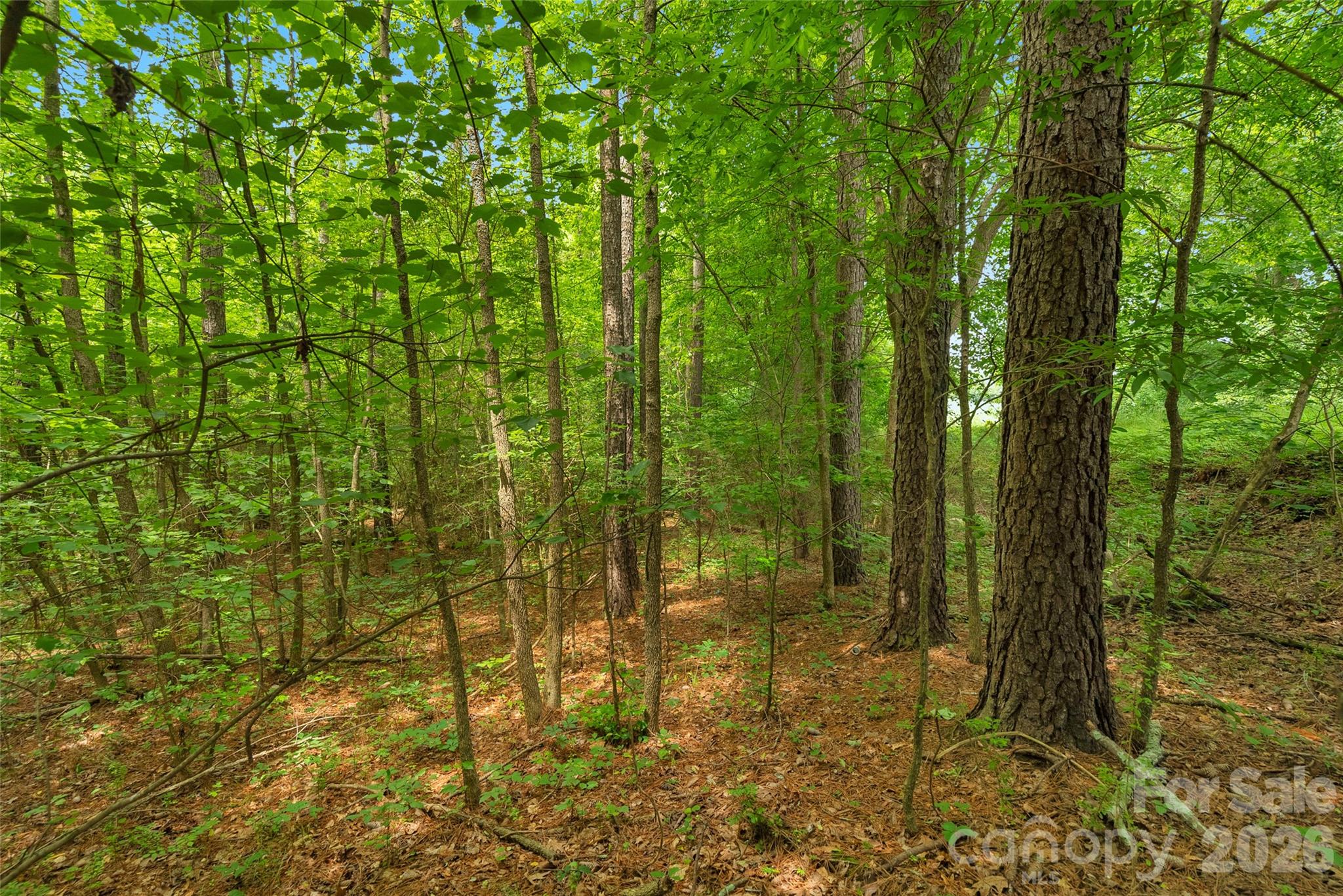 0000 Lucy Short Cut Road Marshville NC 28103