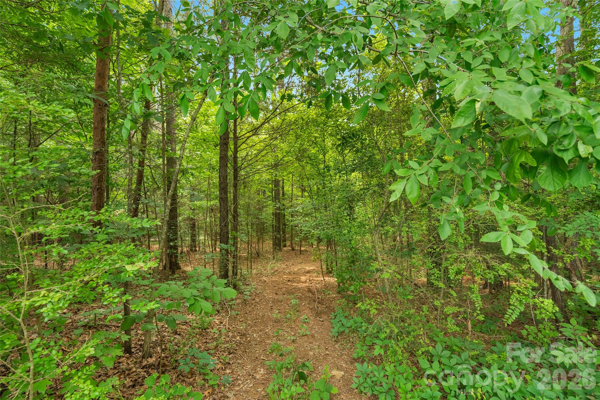 0000 Lucy Short Cut Road Marshville NC 28103