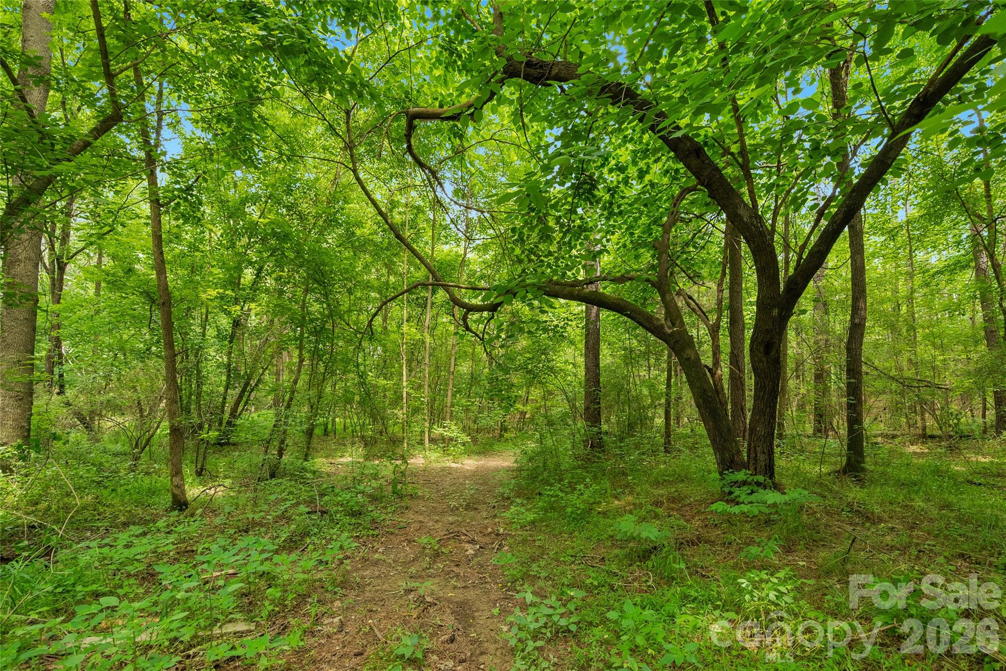 0000 Lucy Short Cut Road Marshville NC 28103