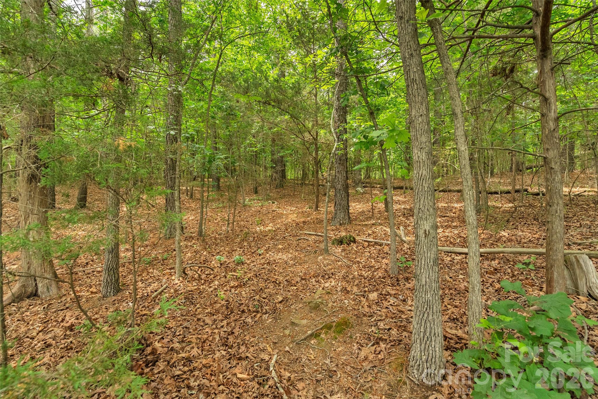 0000 Lucy Short Cut Road Marshville NC 28103